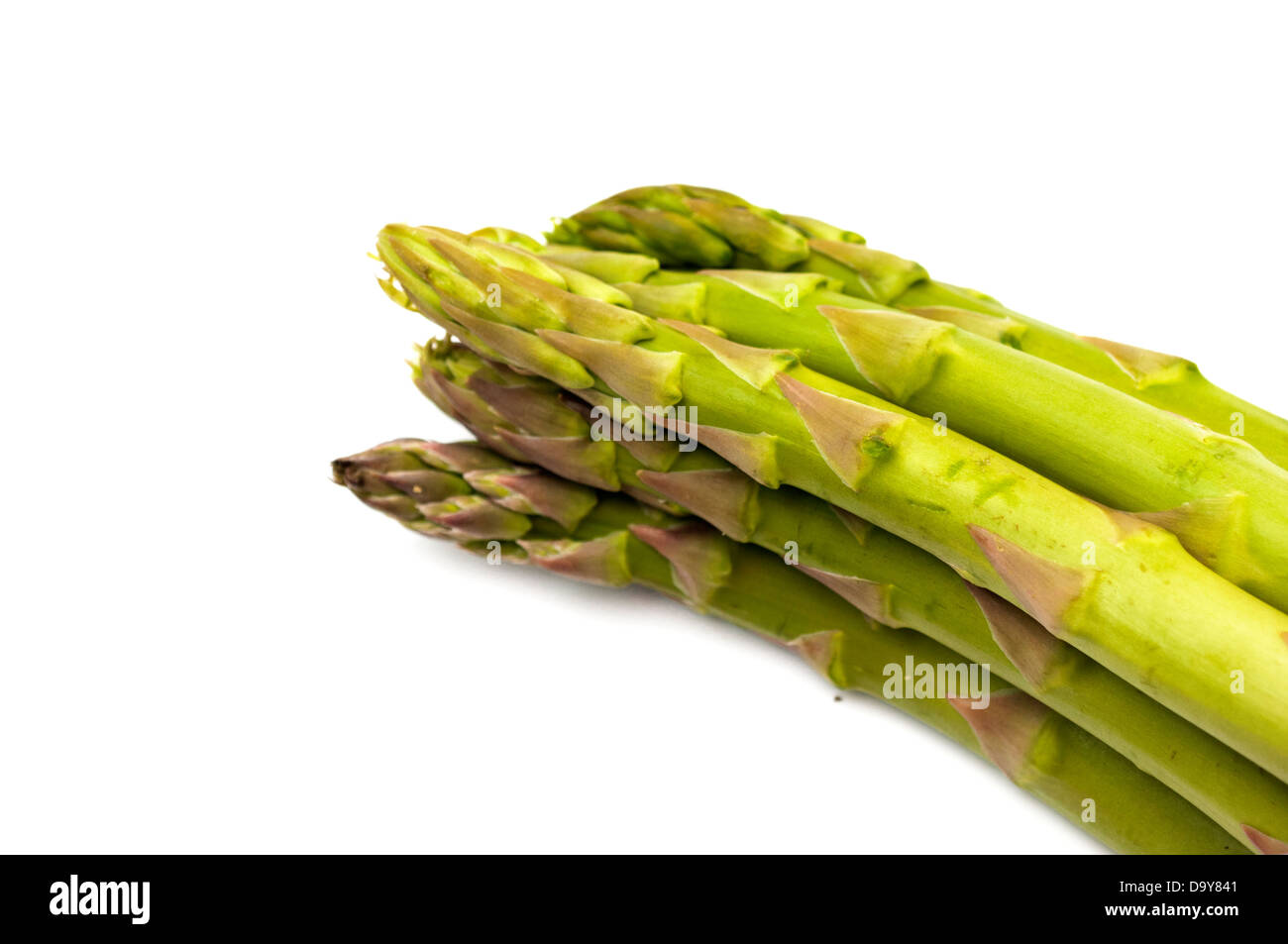 Asperges vertes sur fond blanc Banque D'Images