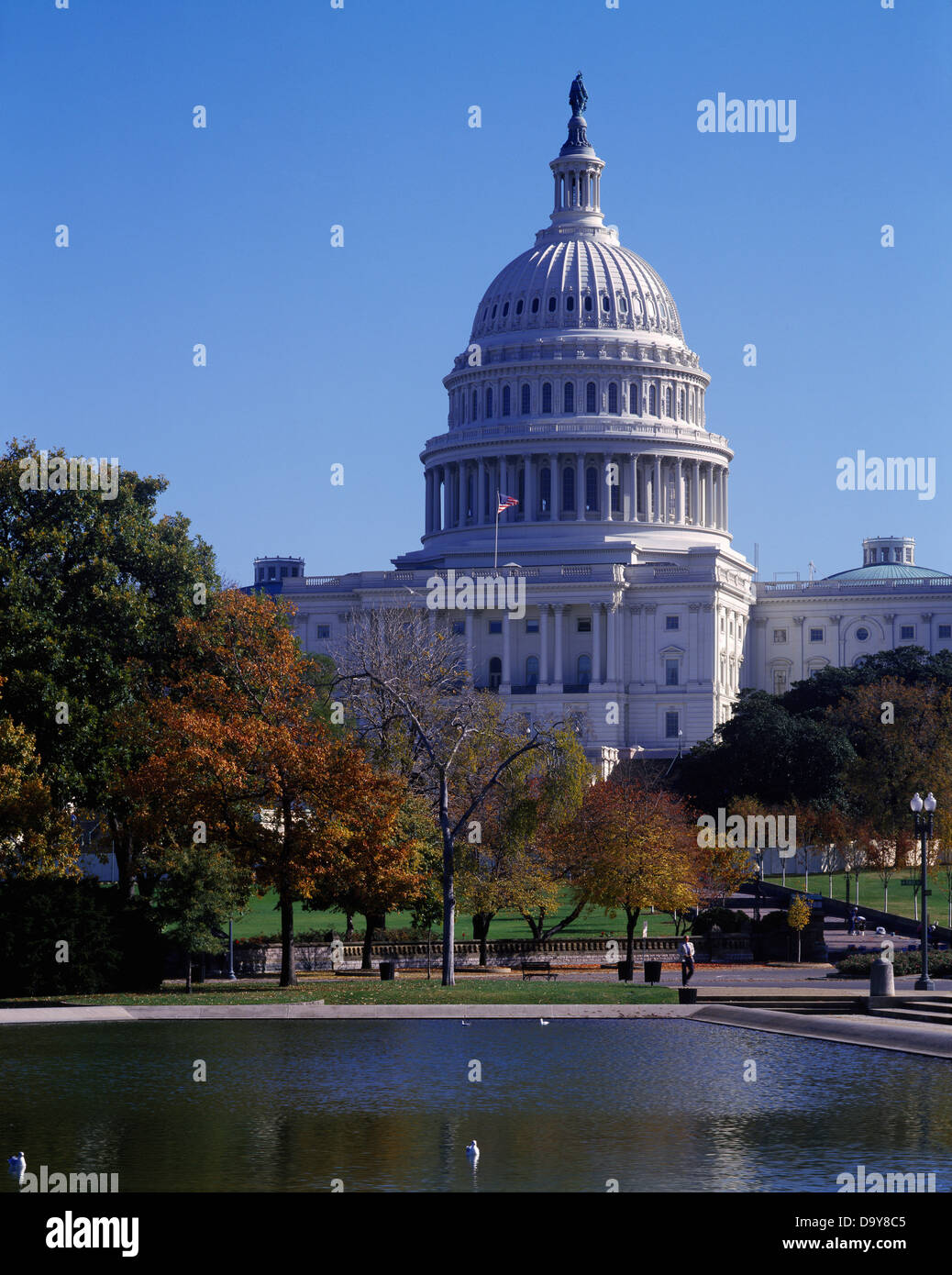 USA, Washington, Washington DC, United States Capitol Building Banque D'Images