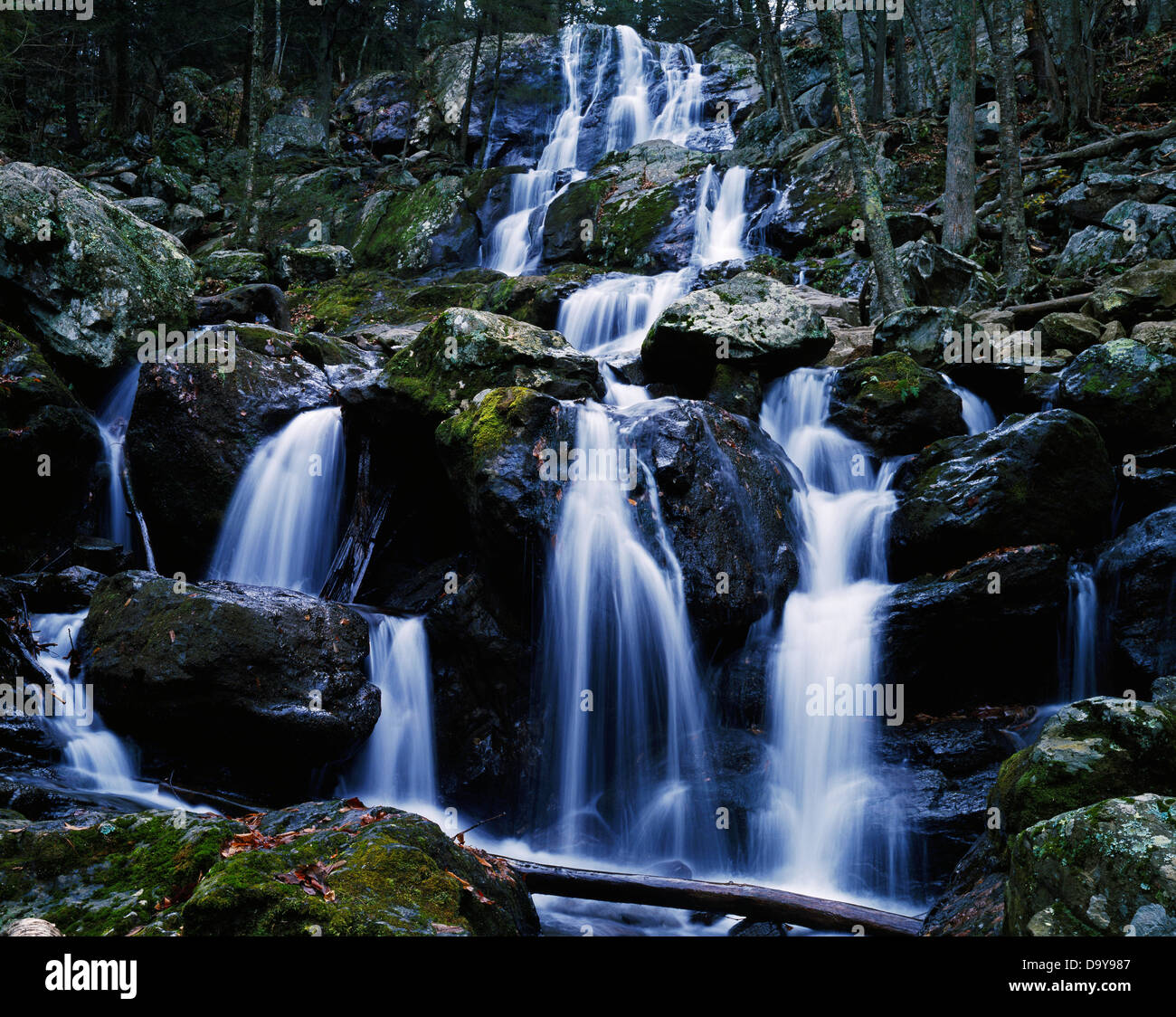 USA Virginia Appalaches Shenandoah National Park Camp porc rose foncé de la Direction générale de la rivière creuse plus en cascade Falls Banque D'Images