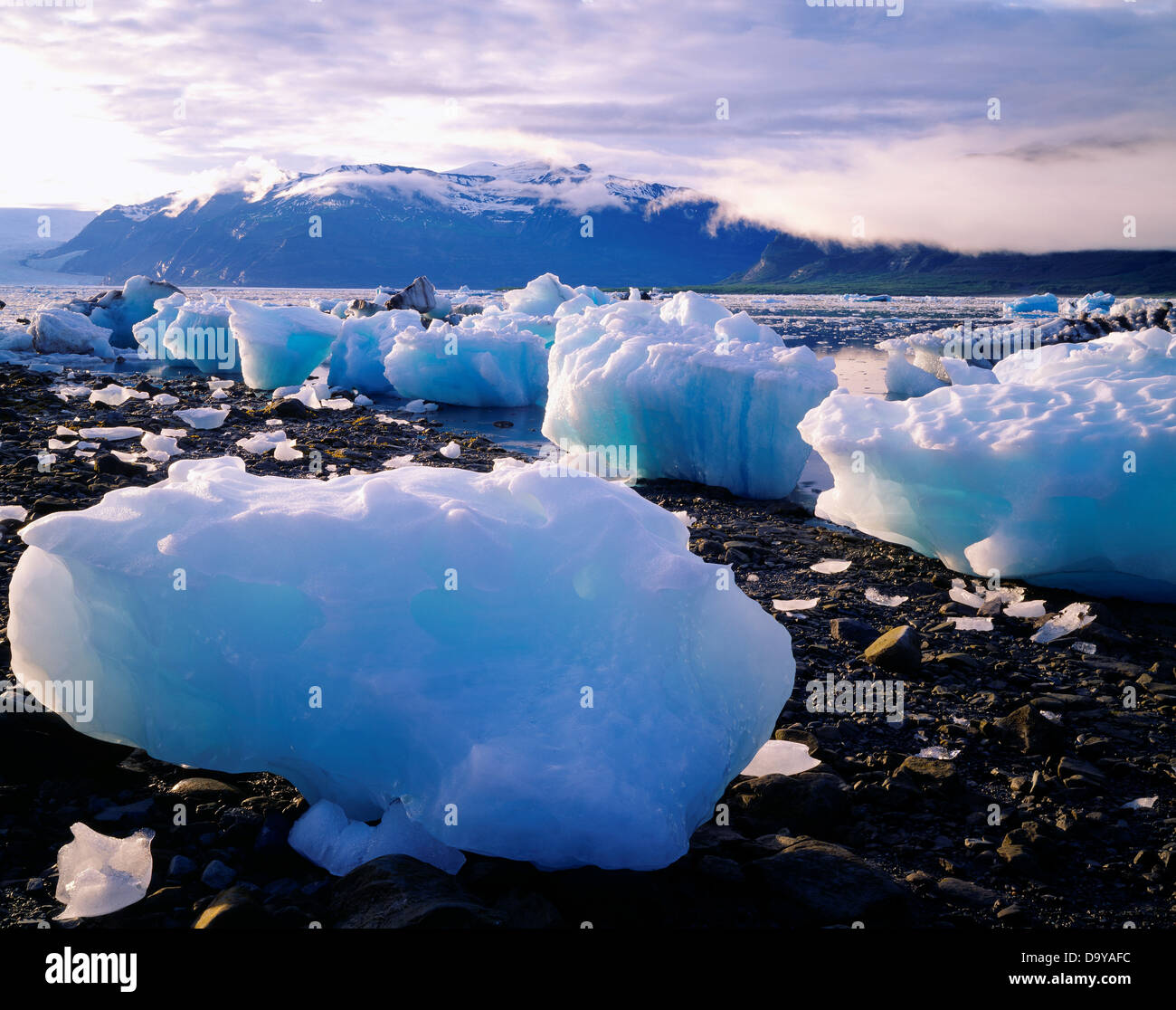 USA Alaska Wrangell-Saint Elias désert Icebergs rive Kageet avec doublure Point Glacier Guyot Guyot Hills Banque D'Images