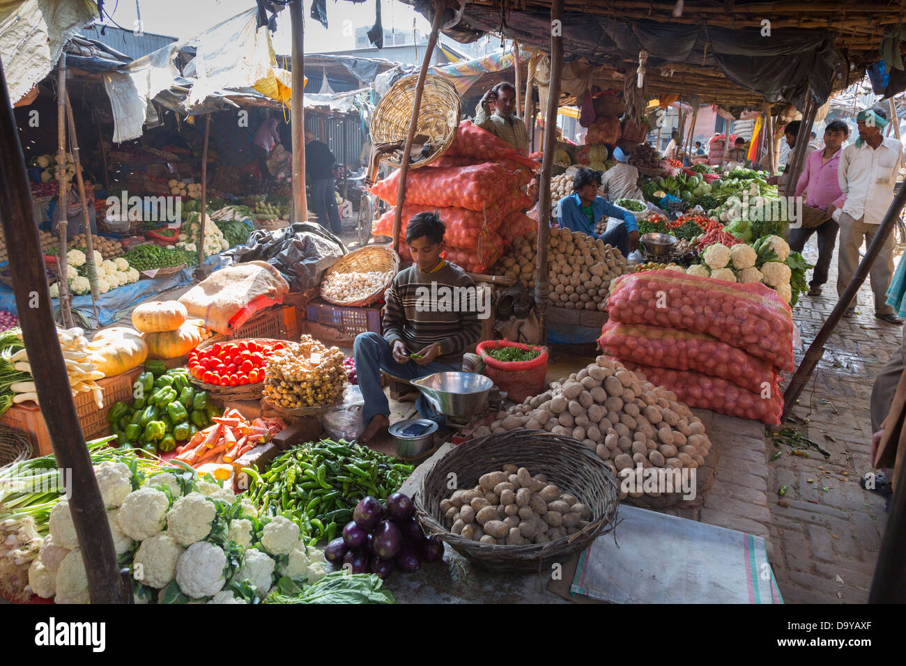 L'Inde, Uttar Pradesh, Aligarh, fruit & vegetable market Banque D'Images