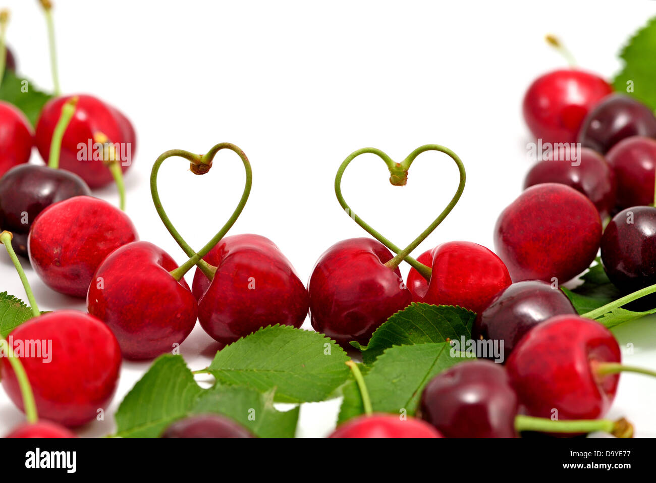 Cherry love sur fond blanc Banque D'Images