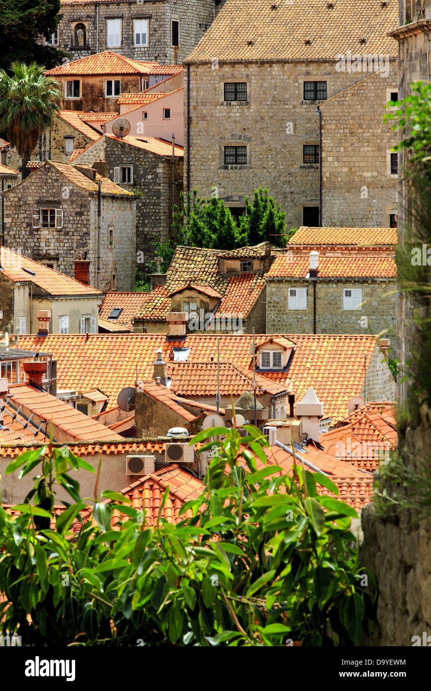 Les plantes et les toits en terre cuite à Dubrovnik, Croatie Banque D'Images