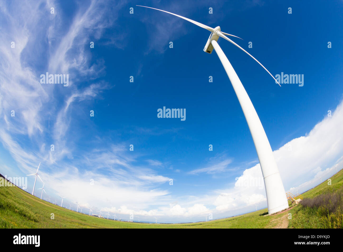 Moulin à vent et la production d'énergie éolienne Banque D'Images