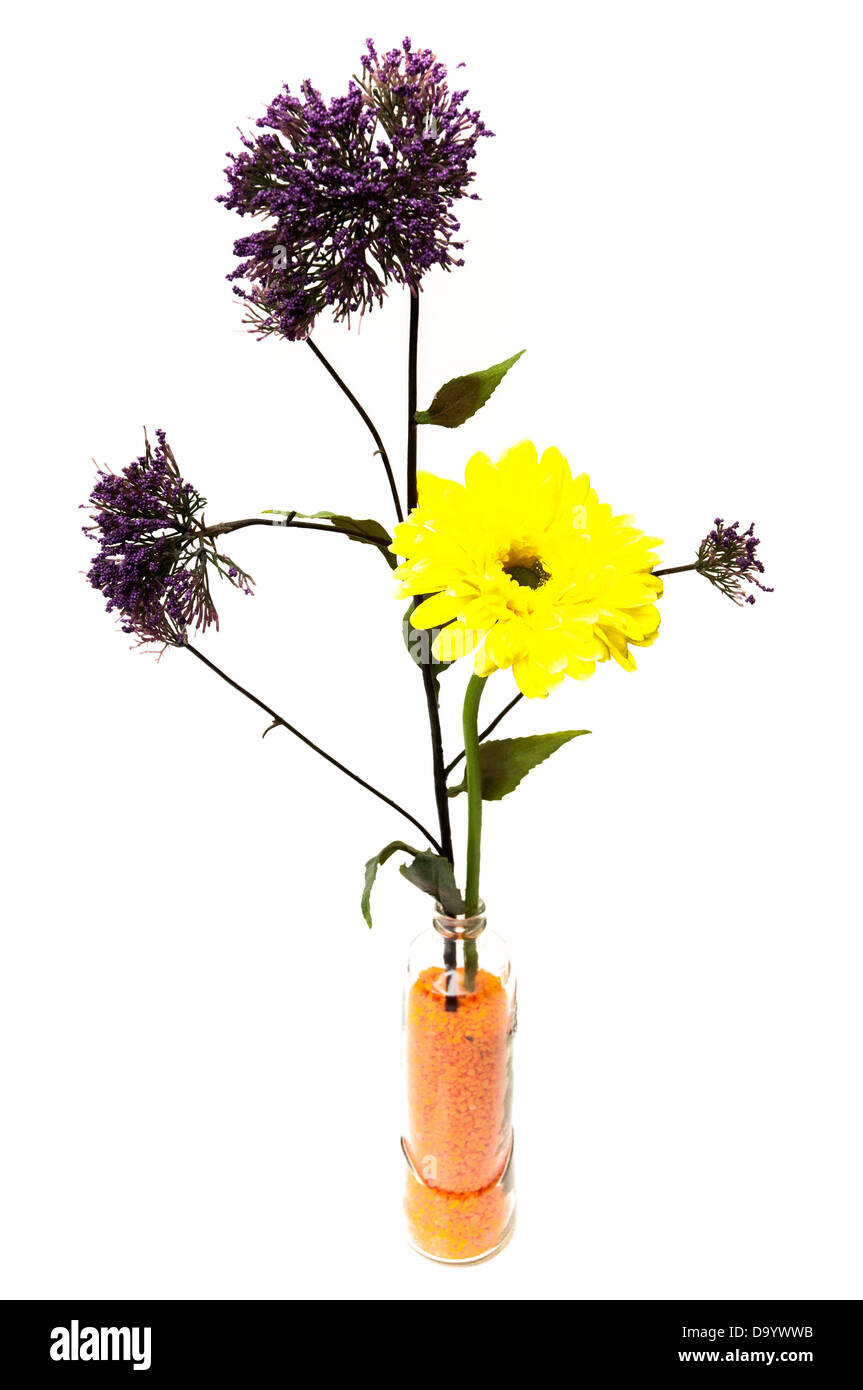 Vase avec fleurs colorées sur un fond blanc Banque D'Images