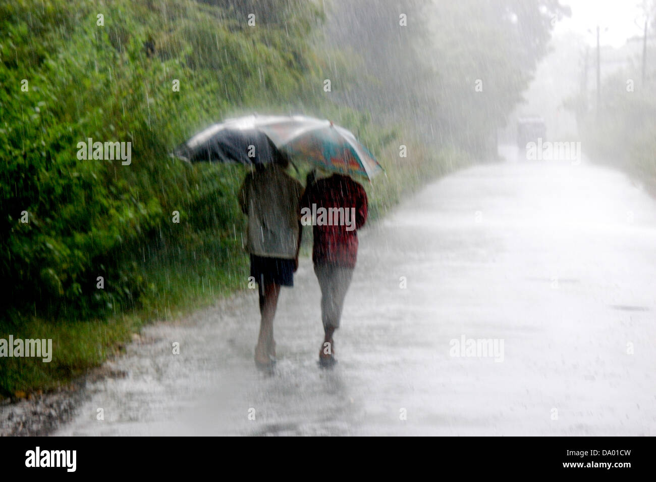 Deux jeunes hommes holding umbrella et marcher sur la route sur un jour de pluie,kerala,Inde du sud,Inde,asia Banque D'Images