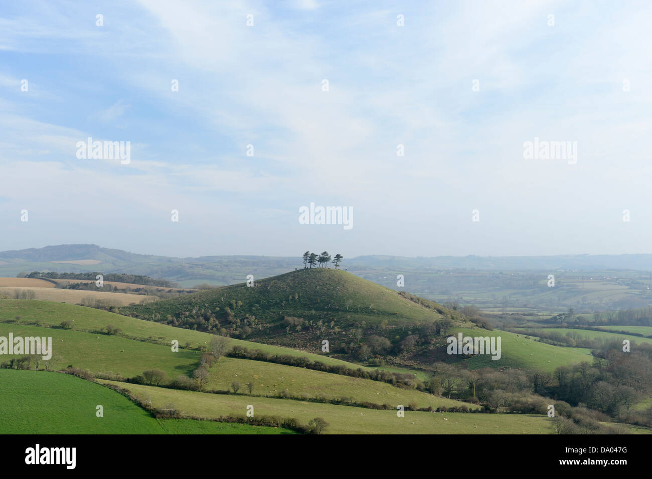 Colmer's Hill, Dorset, UK, sur un matin de printemps. Banque D'Images