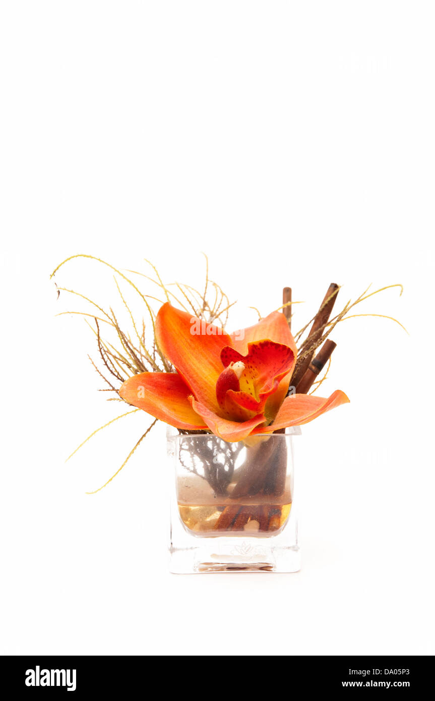 Verre avec fleur sur fond blanc Banque D'Images