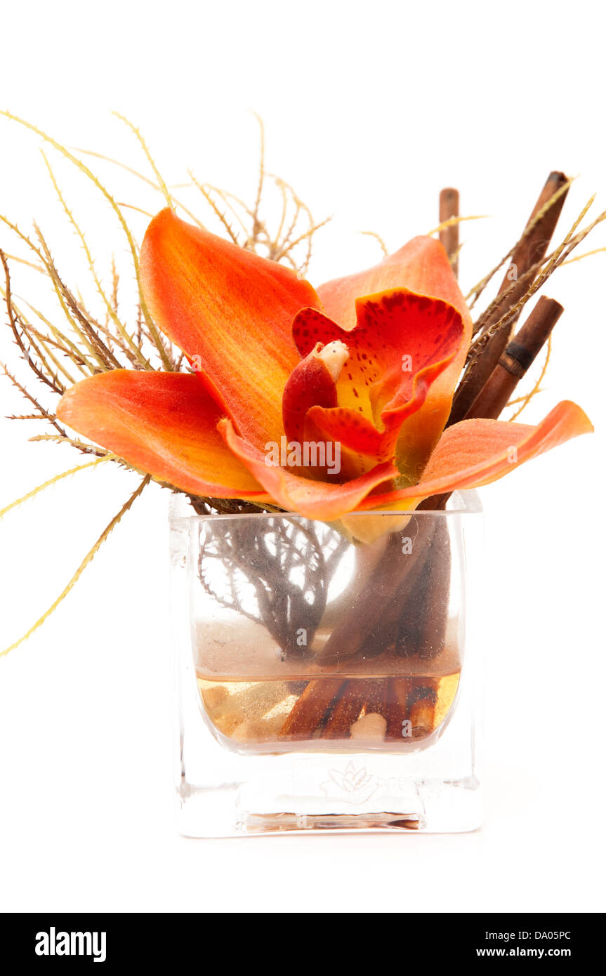 Verre avec fleur sur fond blanc Banque D'Images