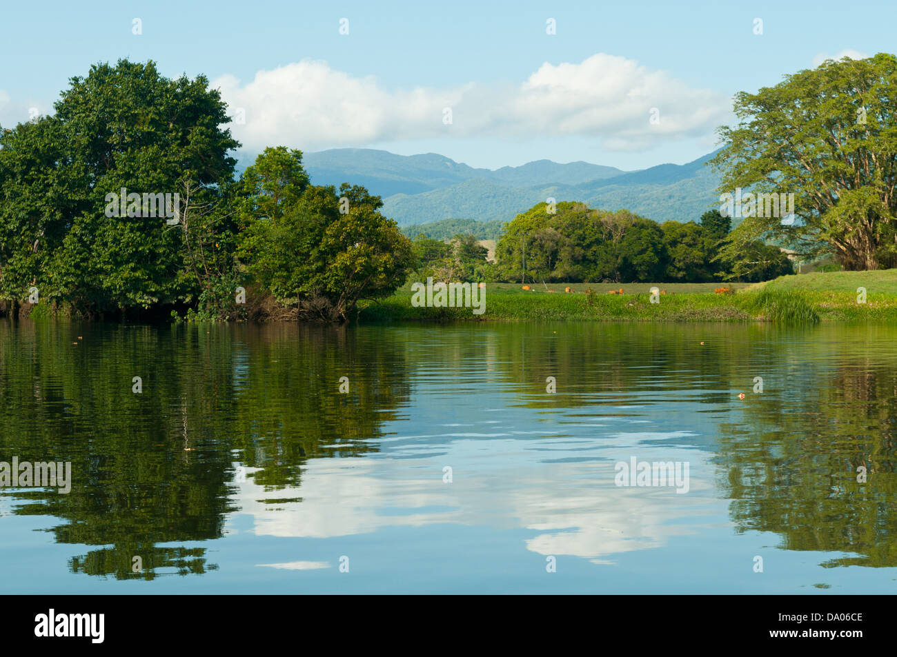 La rivière Daintree, Queensland, Australie Banque D'Images