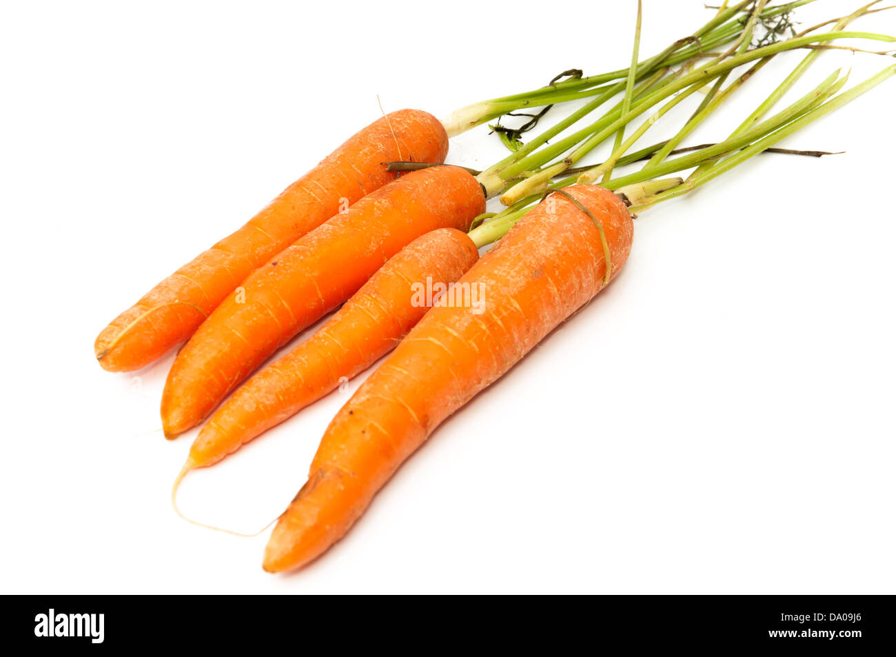 Botte de carottes sur un fond blanc Banque D'Images