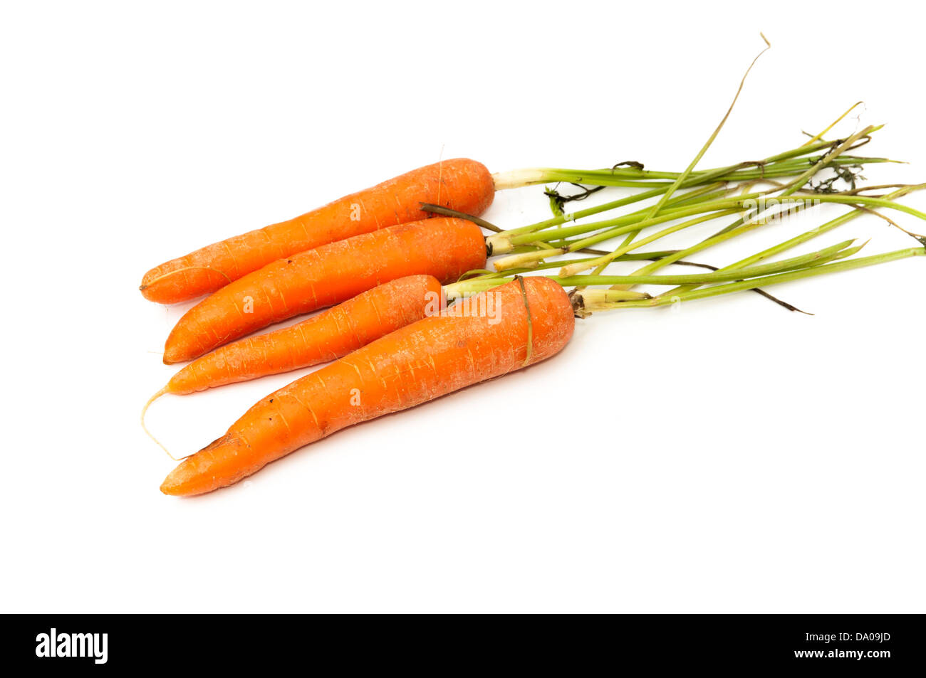 Botte de carottes sur un fond blanc Banque D'Images