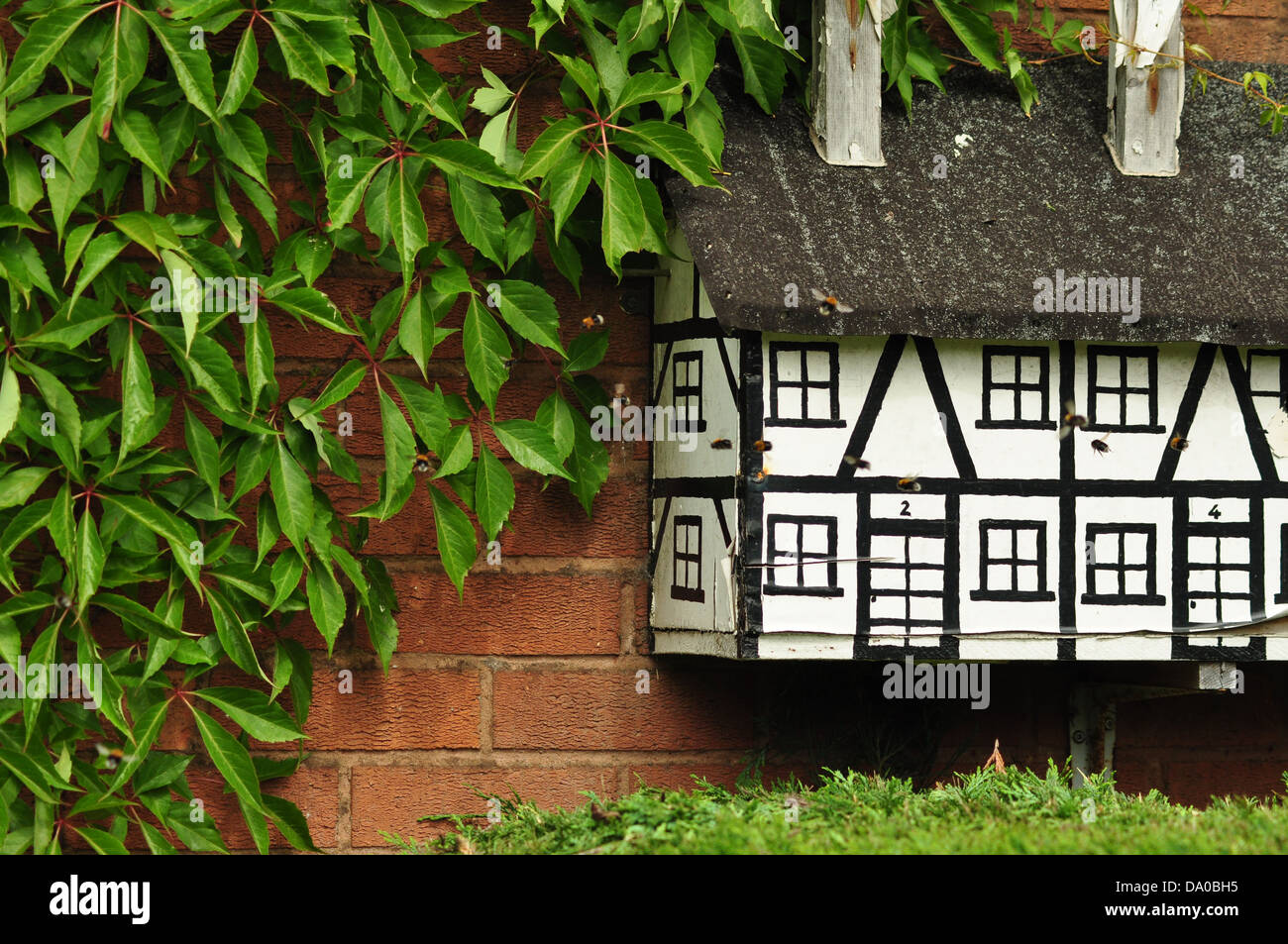 Colonie de bourdons s'installe à bird box in garden Banque D'Images