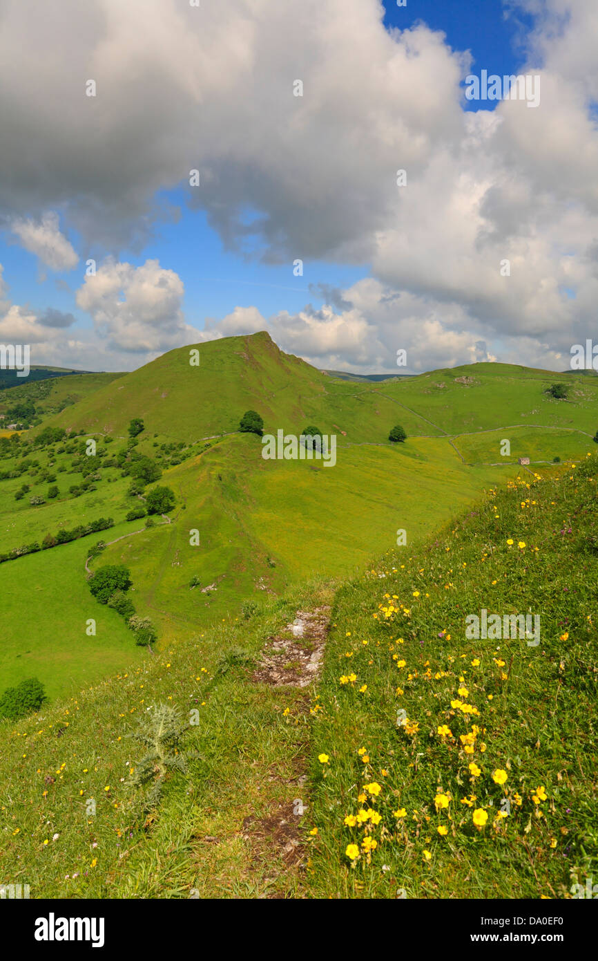 Chrome Hill de Parkhouse Hill près de Longnor, Derbyshire Peak District National Park, Angleterre, Royaume-Uni. Banque D'Images