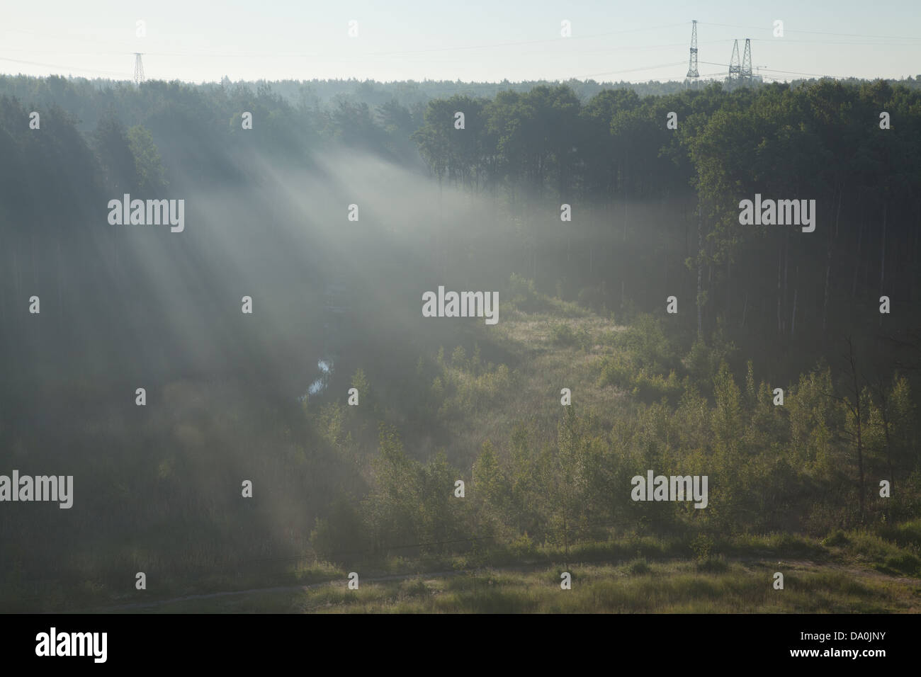 La vue du balcon sur le Rzhevsky Forest Park. Rzhevka, Saint Petersburg, Russie. Banque D'Images