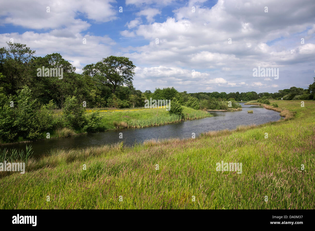 Carrière Ellerton, Yorkshire du Nord. Mise en valeur des terres d'une ancienne gravière, maintenant géré comme une réserve naturelle. Banque D'Images