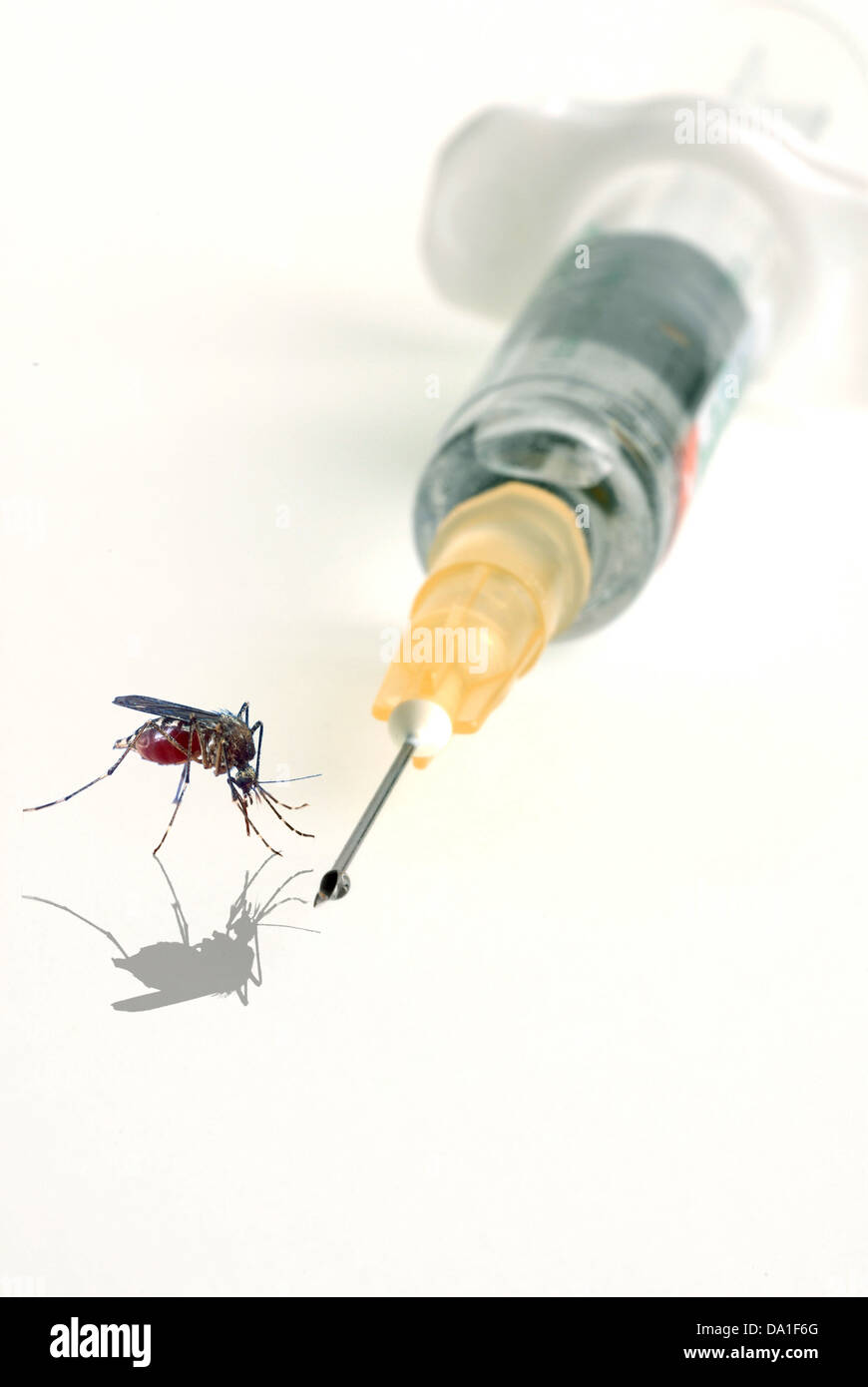 Voyage d'immunisation Banque D'Images