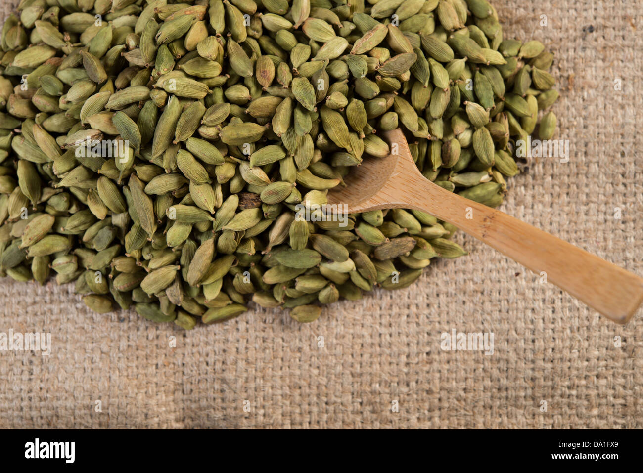 Cardamone baccelli Banque D'Images