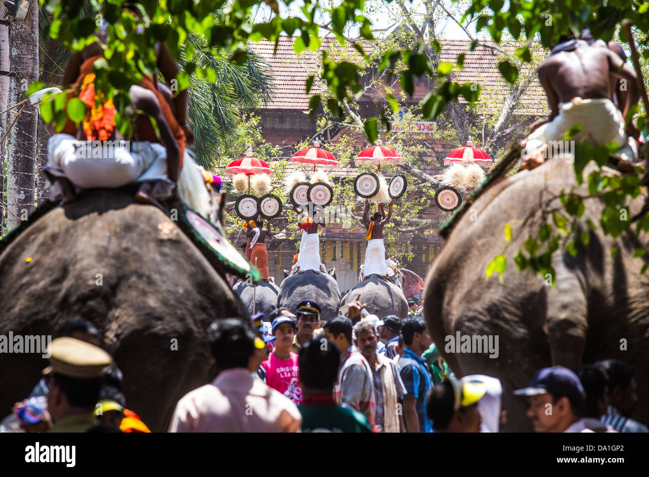 Thrissur Pooram, Temple Festival, Thrissur, Kerala, Inde Banque D'Images