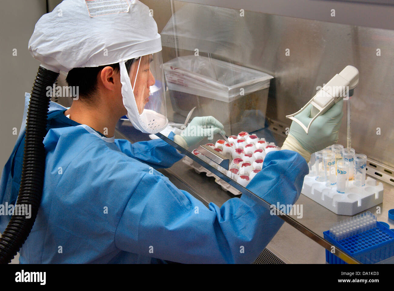 GRIPPE AVIAIRE DE H7N9 Banque D'Images