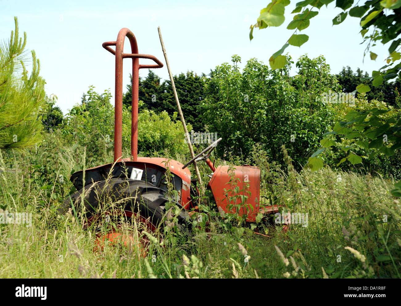 Tracteur agricole désaffecté parmi l'herbe envahi Banque D'Images