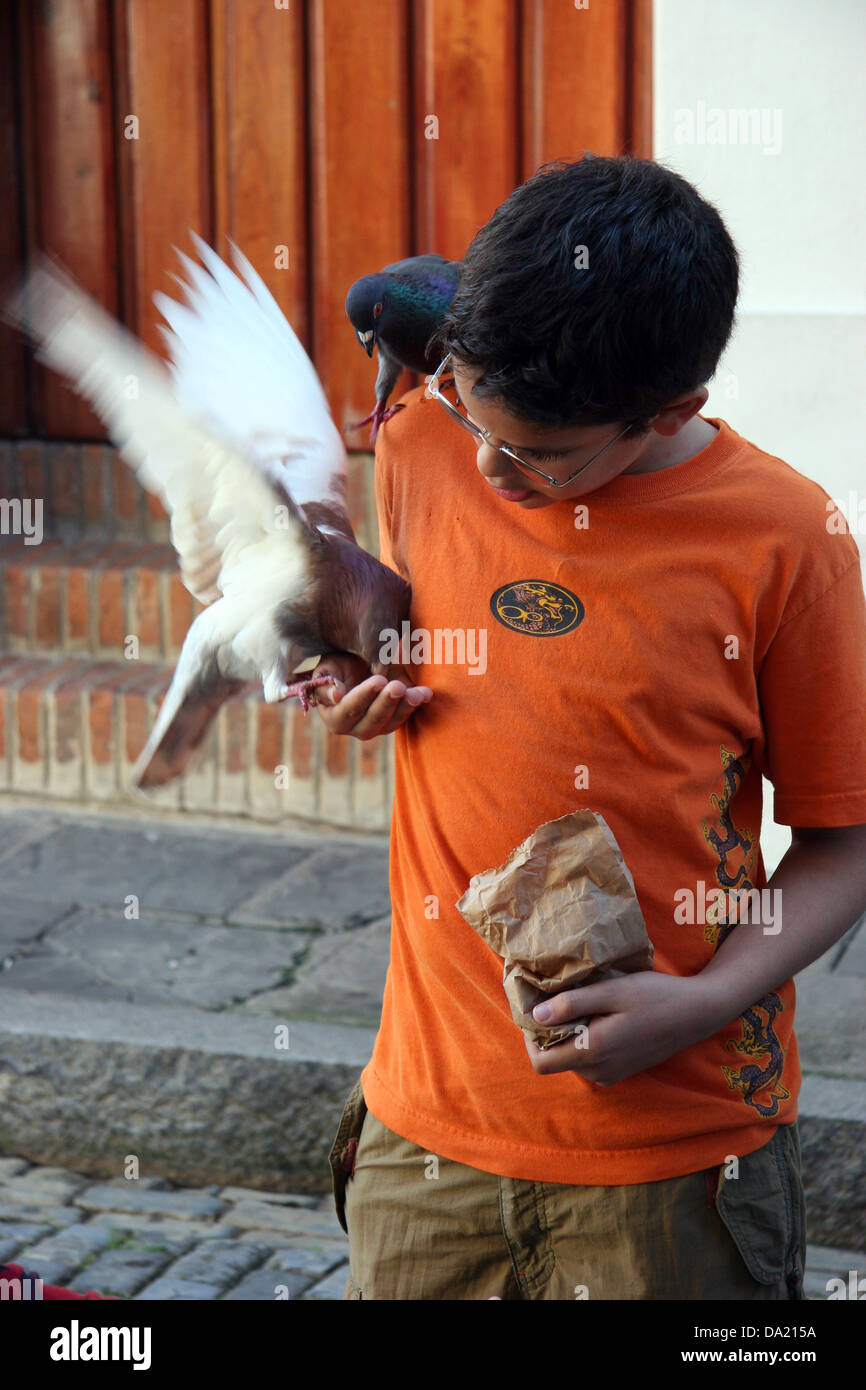 Jeune garçon pigeons d'alimentation hors de sa main dans la rue, San Juan, Puerto Rico, United States of America Banque D'Images