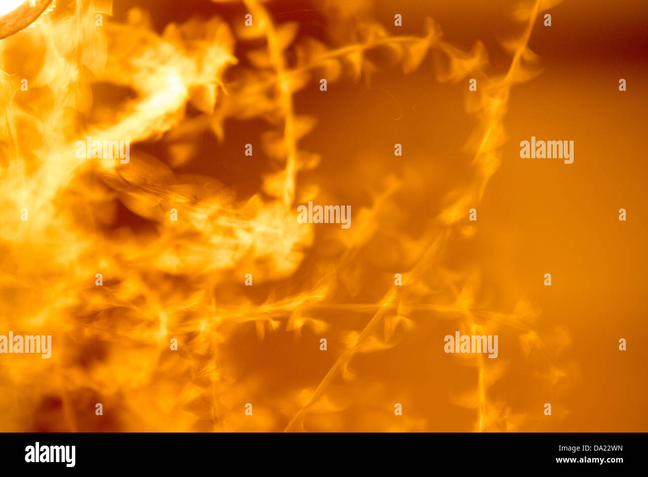 Papillons de nuit attirés par une lumière à Skala Eresou sur Lesbos, Grèce. Banque D'Images