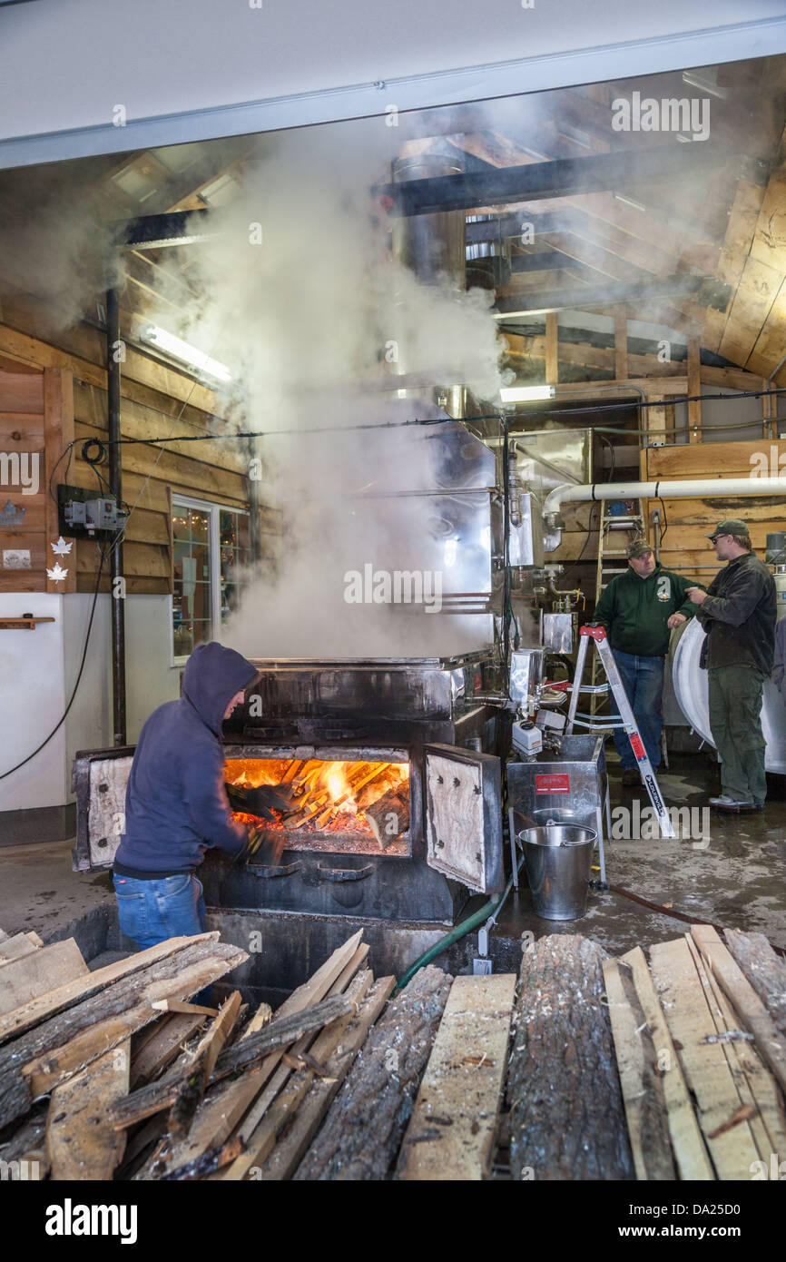 Fin d'hiver traditionnel de bouillir la sève dans un évaporateur, pour faire du sirop, Adirondacks, New York State Banque D'Images