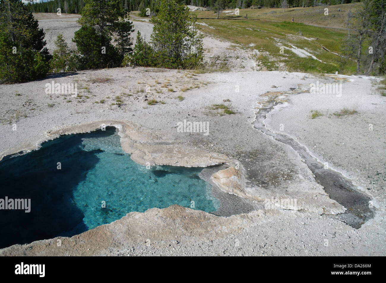 Le Sunny View, vers le ruisseau Firehole, étoile bleue ressort avec décharge, Old Faithful Geyser Basin supérieur, Groupe, Yellowstone Banque D'Images