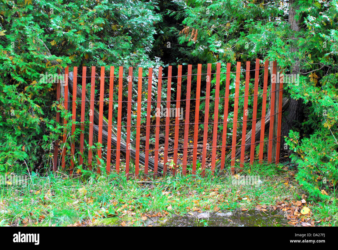 Blocage de clôture rouge vert envahi par chemin forestier. Banque D'Images