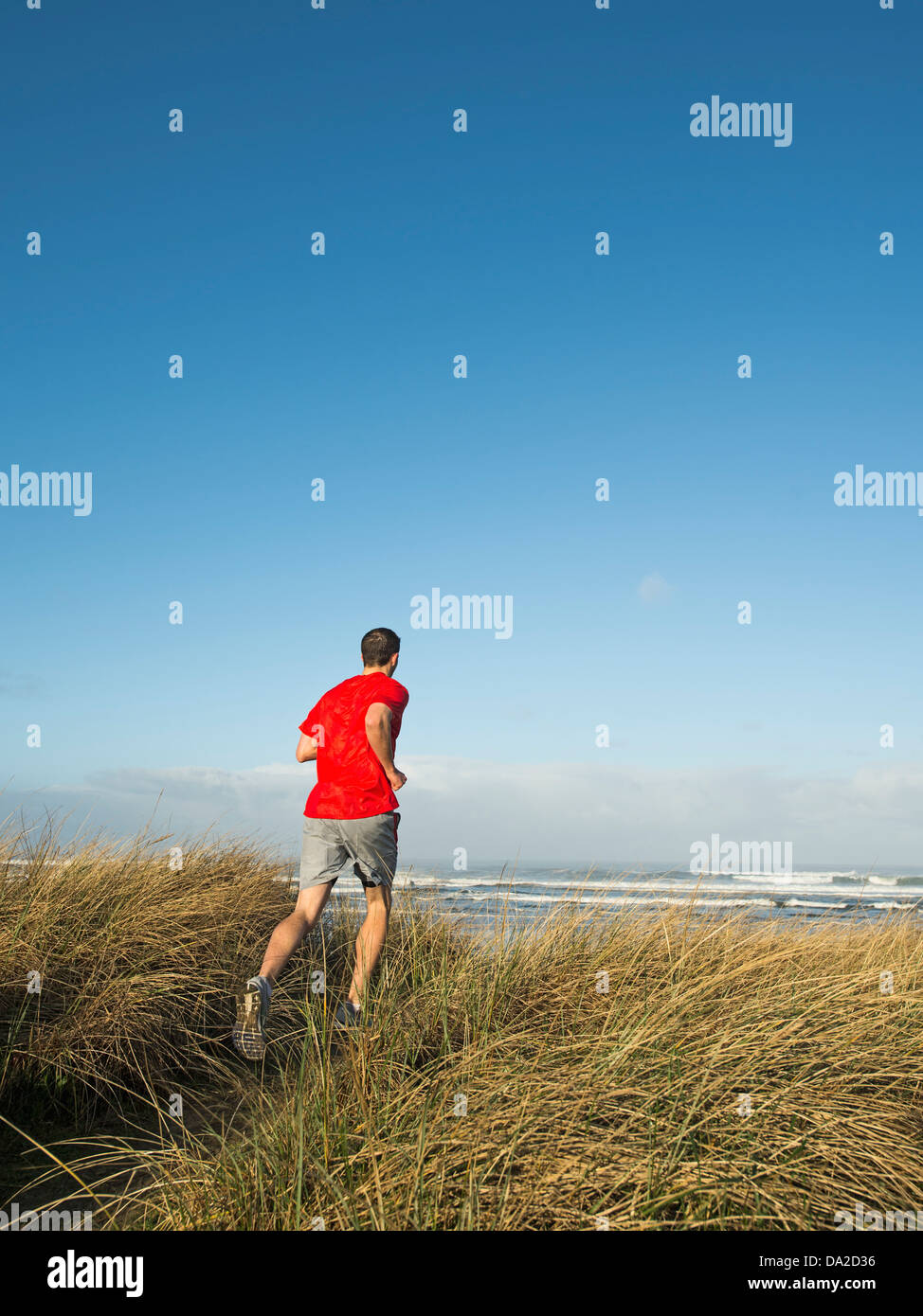 USA, Ohio, Rockaway Beach, jeune adulte homme court sur dune Banque D'Images