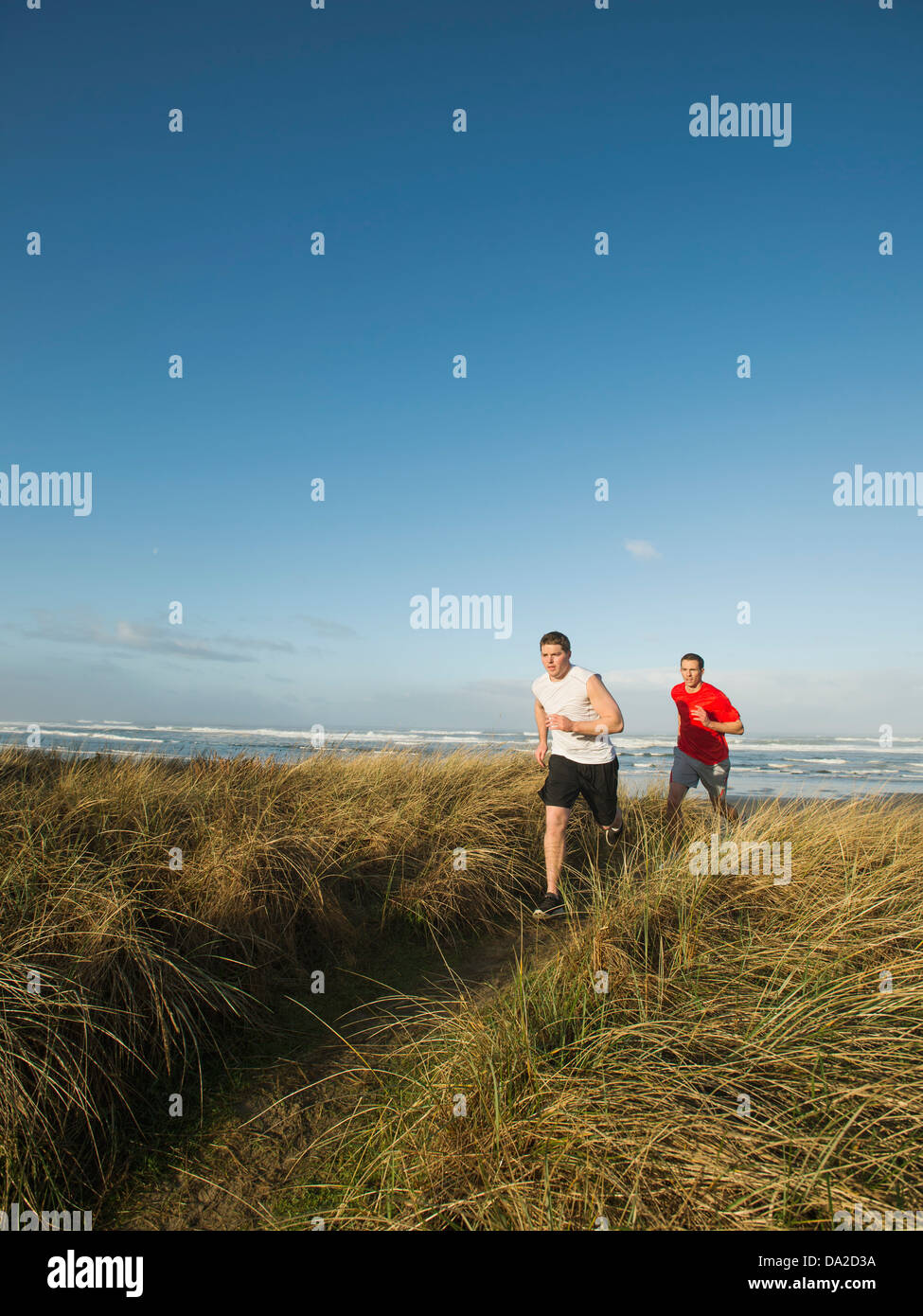 USA, Ohio, Rockaway Beach, les jeunes hommes adultes fonctionnant sur dune Banque D'Images