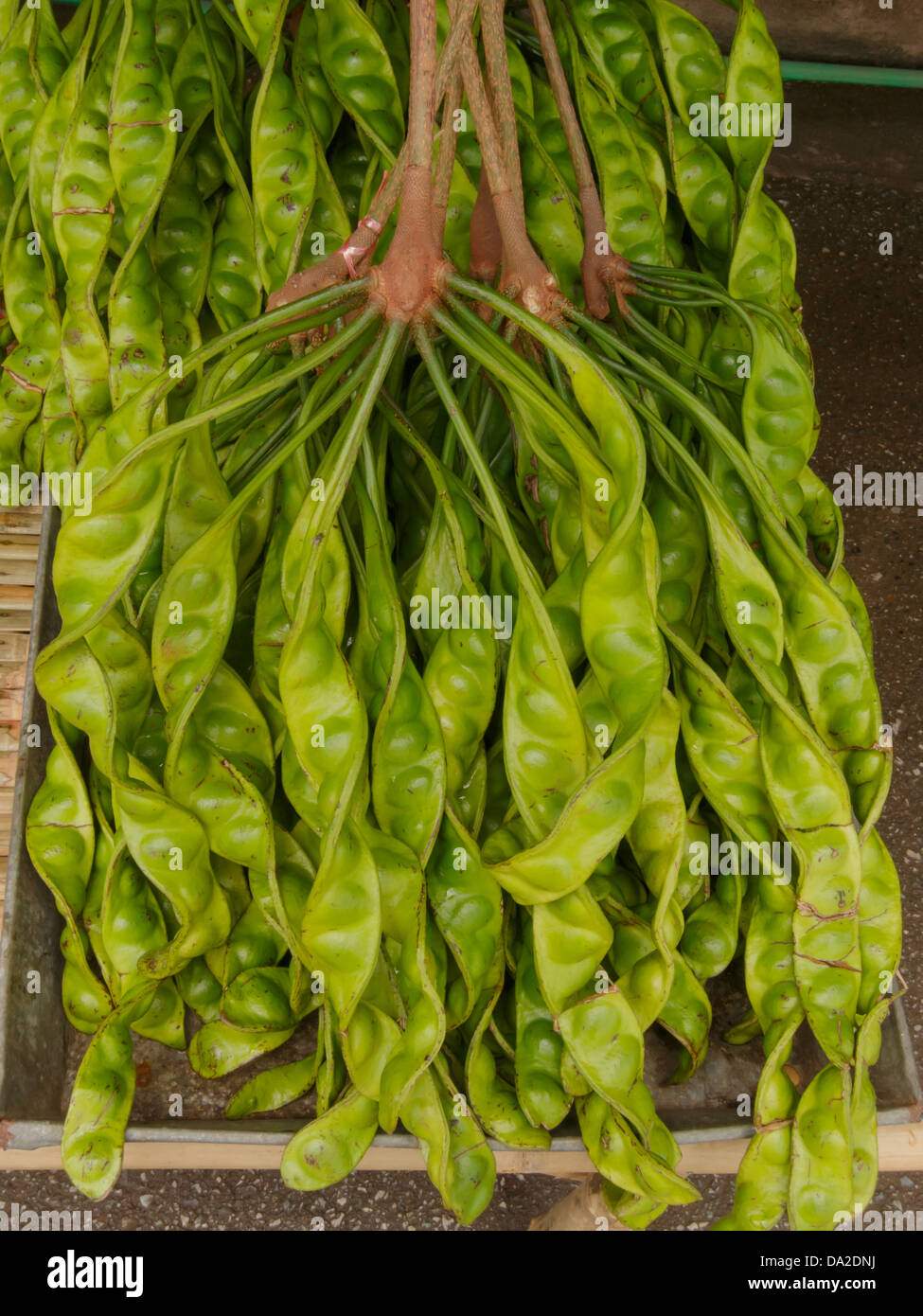 Parkia est tropical haricots comestibles puant marché local en Thaïlande. Banque D'Images