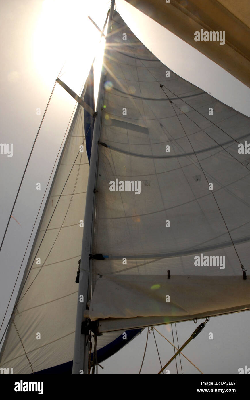 Voile, planche à voiles. Banque D'Images