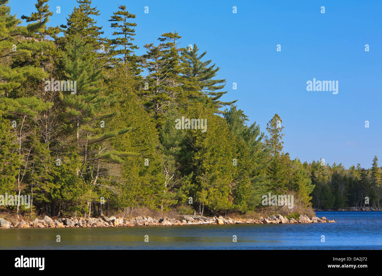 Étang de la Jordanie dans l'Acadia National Park, Maine. Banque D'Images