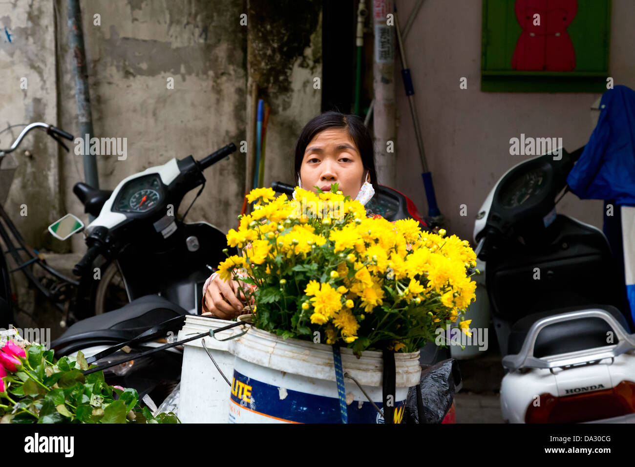 Marchande de fleurs dans les rues de Hanoi, Vietnam Banque D'Images