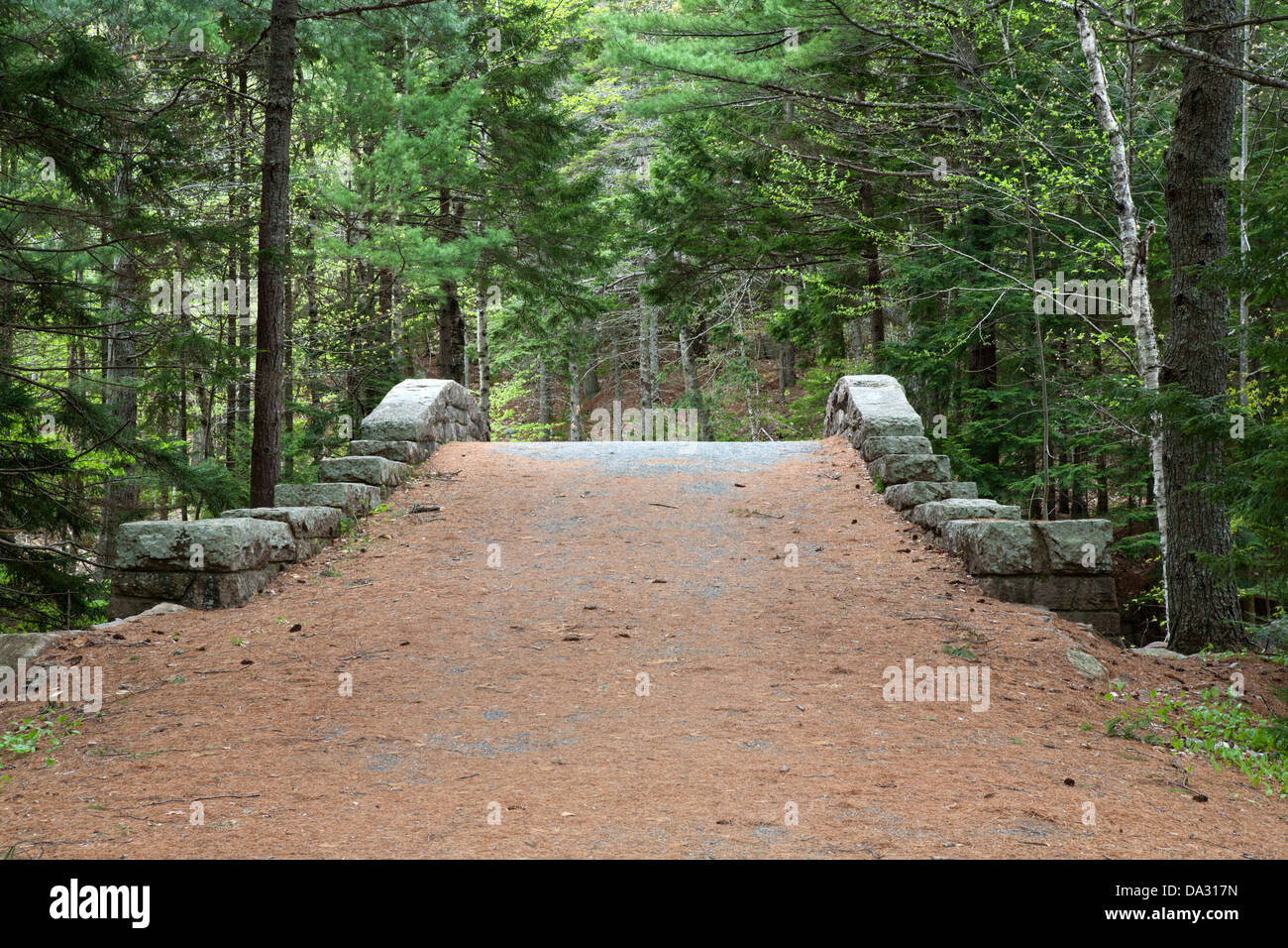 Pont du chemin du chariot dans l'Acadia National Park, Maine. Banque D'Images