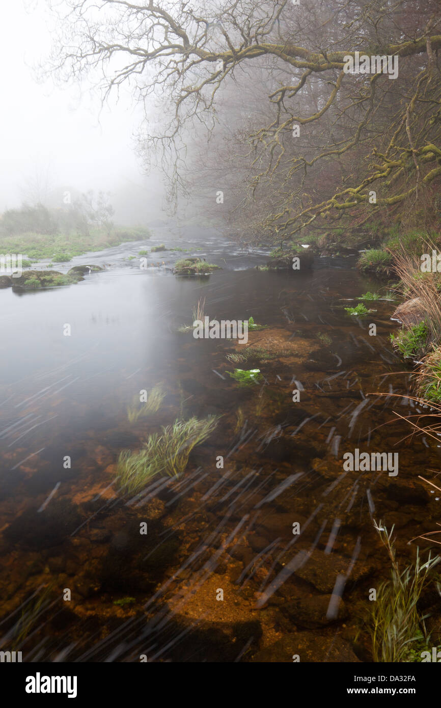 La rivière près de postbridge clapper dans Devon Dartmoor Banque D'Images