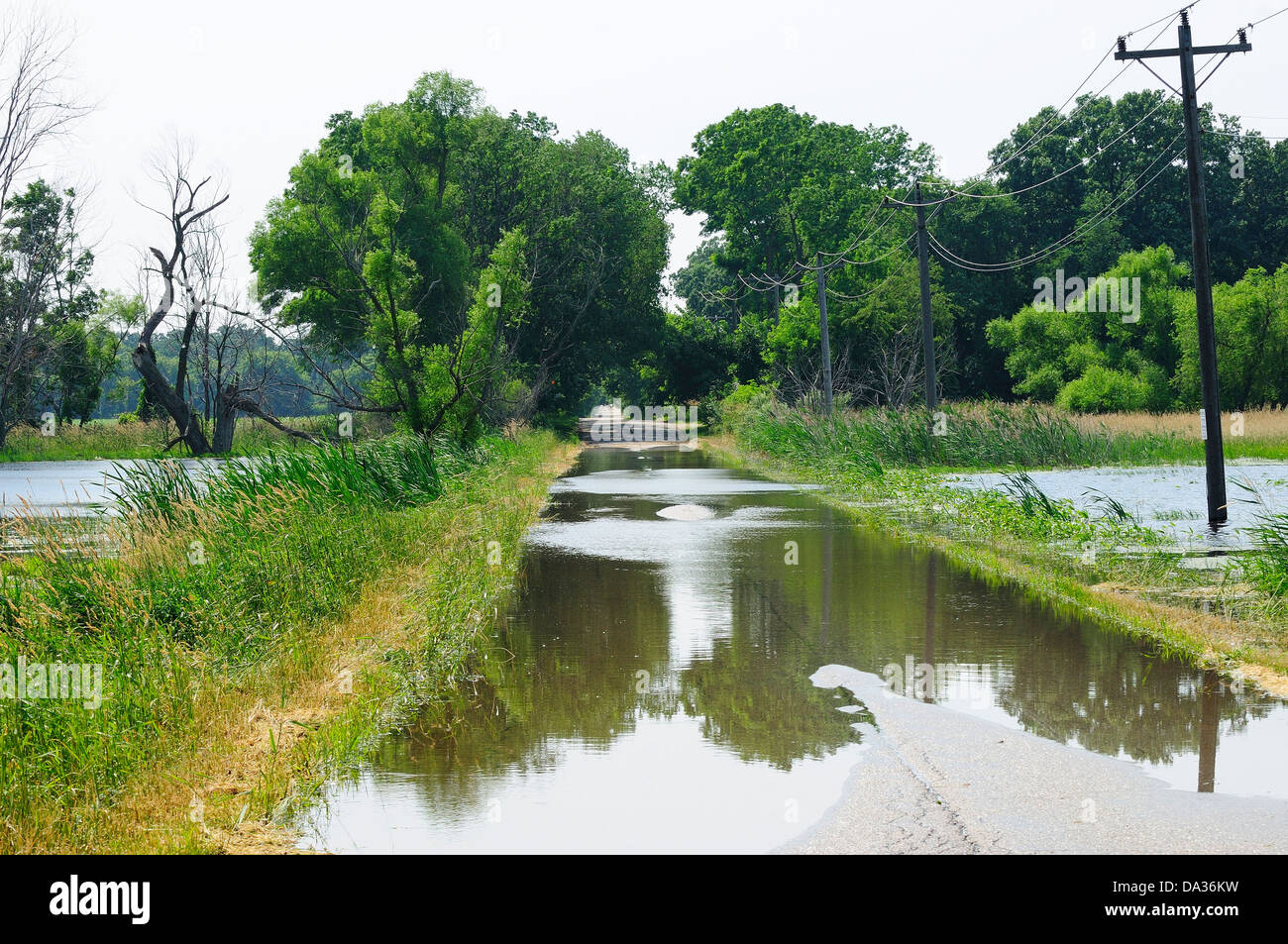 Route de campagne inondée par plaine. Banque D'Images