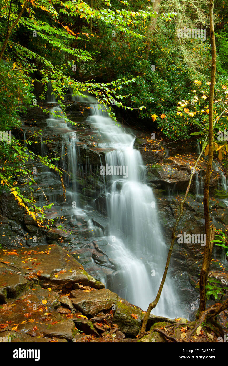 Cascade luxuriante sur la frontière de la Caroline du Nord, Tennessee Banque D'Images