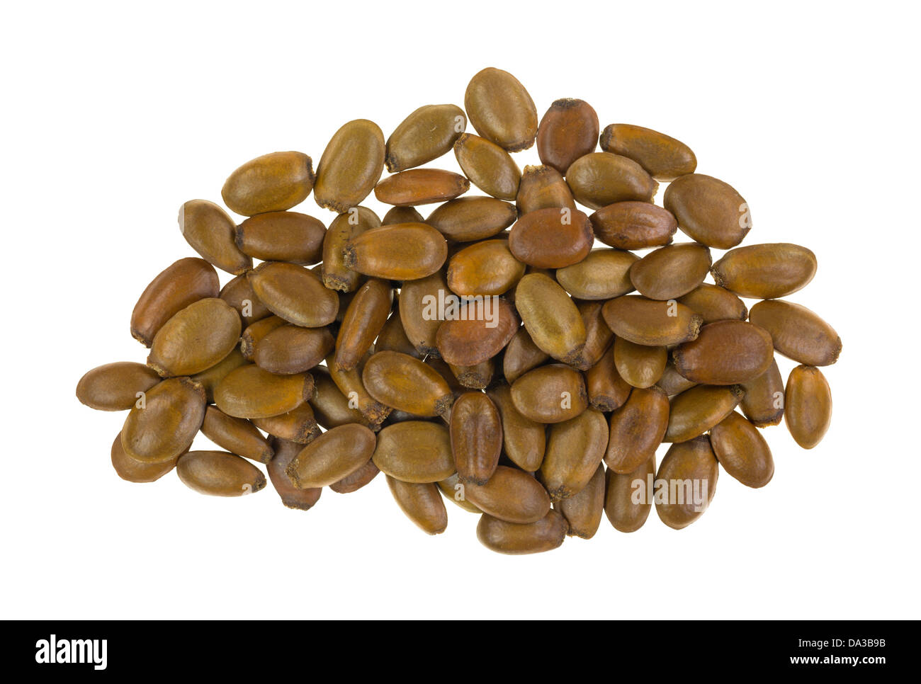 Un groupe d'Annona muricata seeds sur un fond blanc. Banque D'Images