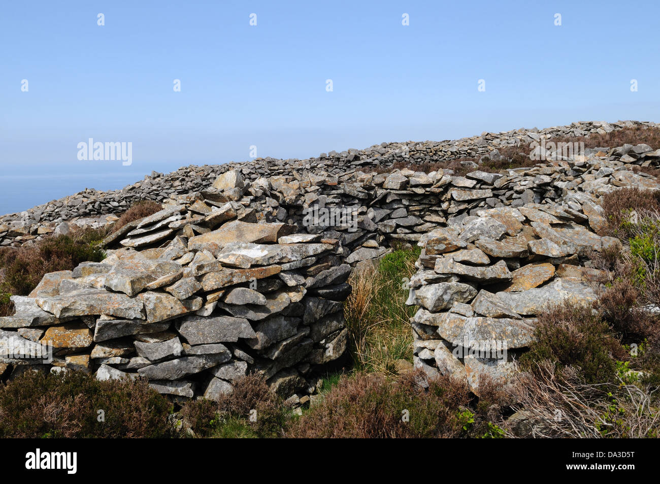 Une cabane de pierres du Tre'r l'âge de fer Fort Ceiri An Eifl ou les rivaux Llanaelhaearn Péninsule Llyn Gwynedd au Pays de Galles Cymru UK GO Banque D'Images