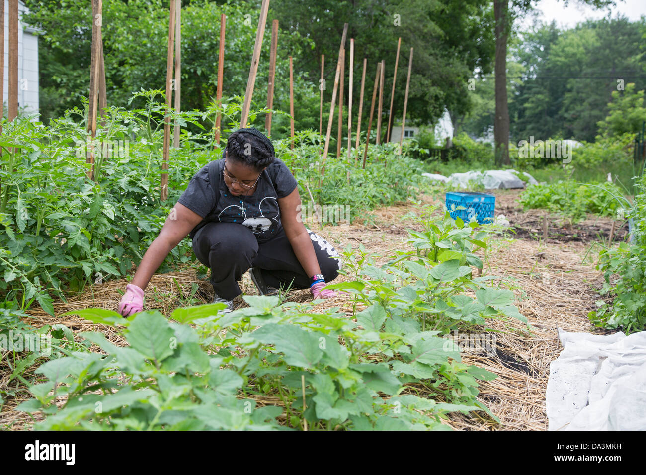 Un étudiant travaille en tant que stagiaire dans un jardin communautaire dans Brightmoor, l'un des plus quartiers défavorisés de Détroit. Banque D'Images