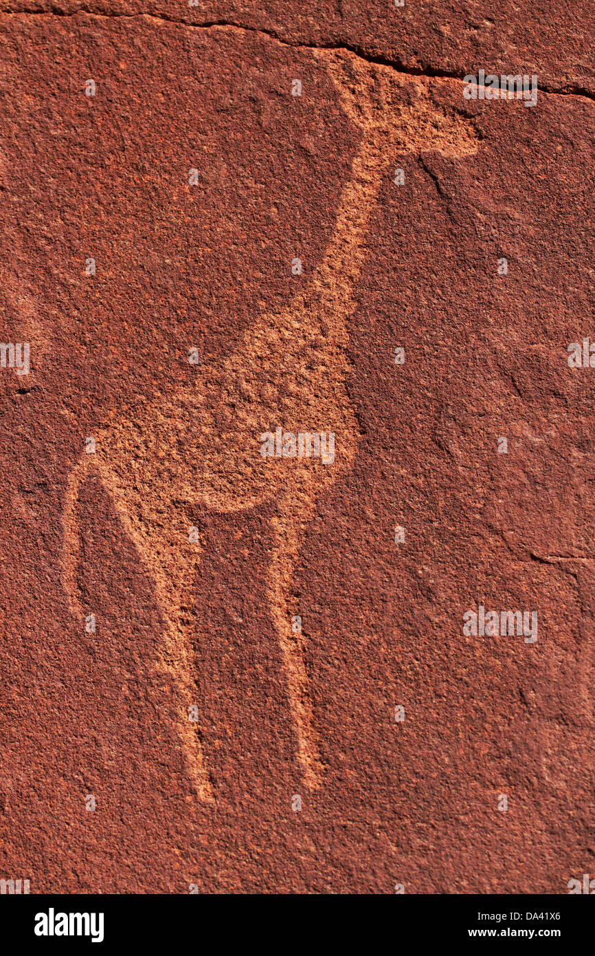 Gravures rupestres de Twyfelfontein, UNESCO World Heritage Site, Damaraland, Namibie, Afrique Banque D'Images