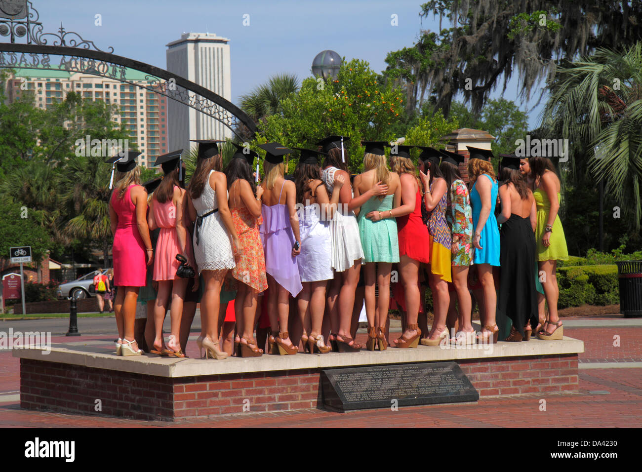 Tallahassee Florida,Florida State University,FSU,campus,école,Wescott Plaza Fountain,étudiants éducation élèves élèves,diplômés,pose,prise Banque D'Images