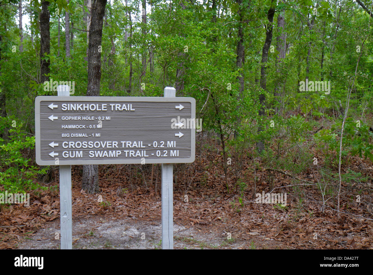 Tallahassee Floride, Apalachicola National Forest, Leon puits zone géologique, signe, logo, sentier de gouffre, les visiteurs Voyage tourisme touristique la Banque D'Images