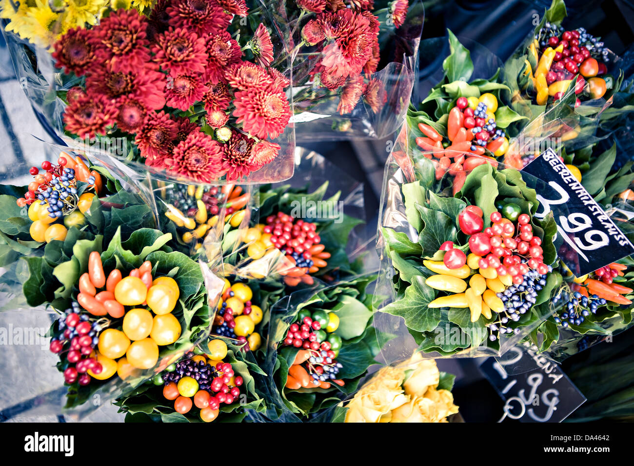 Gros plan d'un groupe de plantes d'automne Banque D'Images