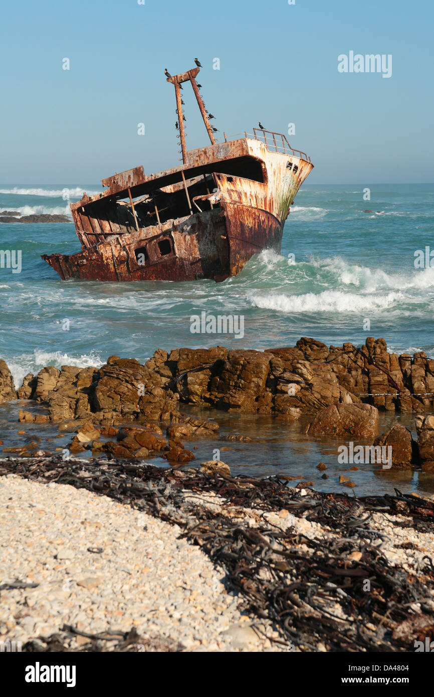 Naufrage près de cap Agulhas, le point le plus au sud du continent africain, Western Cape, Afrique du Sud Banque D'Images