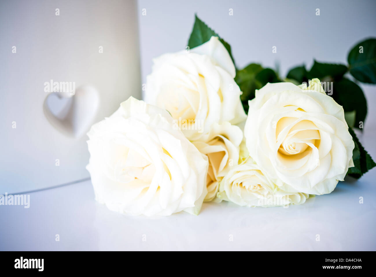 Bouquet de belles roses blanches et tendrement Banque D'Images