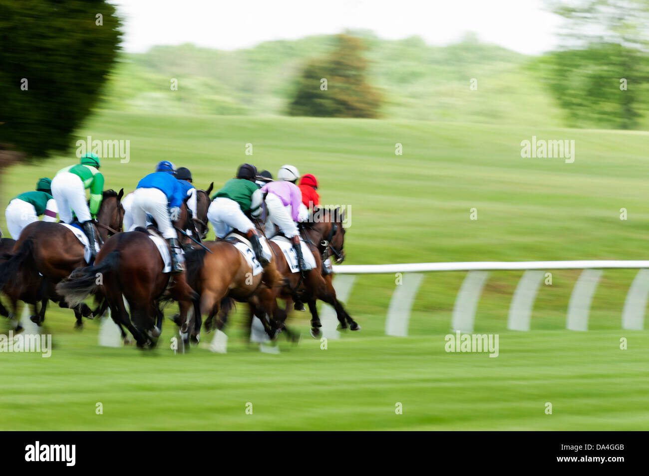 Un groupe de chevaux de course tournant lors d'une course d'obstacles Banque D'Images